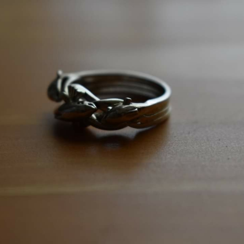 Dolphin Puzzle Ring